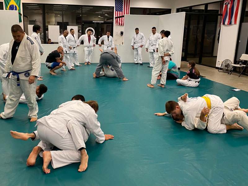 Gracie Combatives® Adult Co Ed Gracie Jiu Jitsu Indio